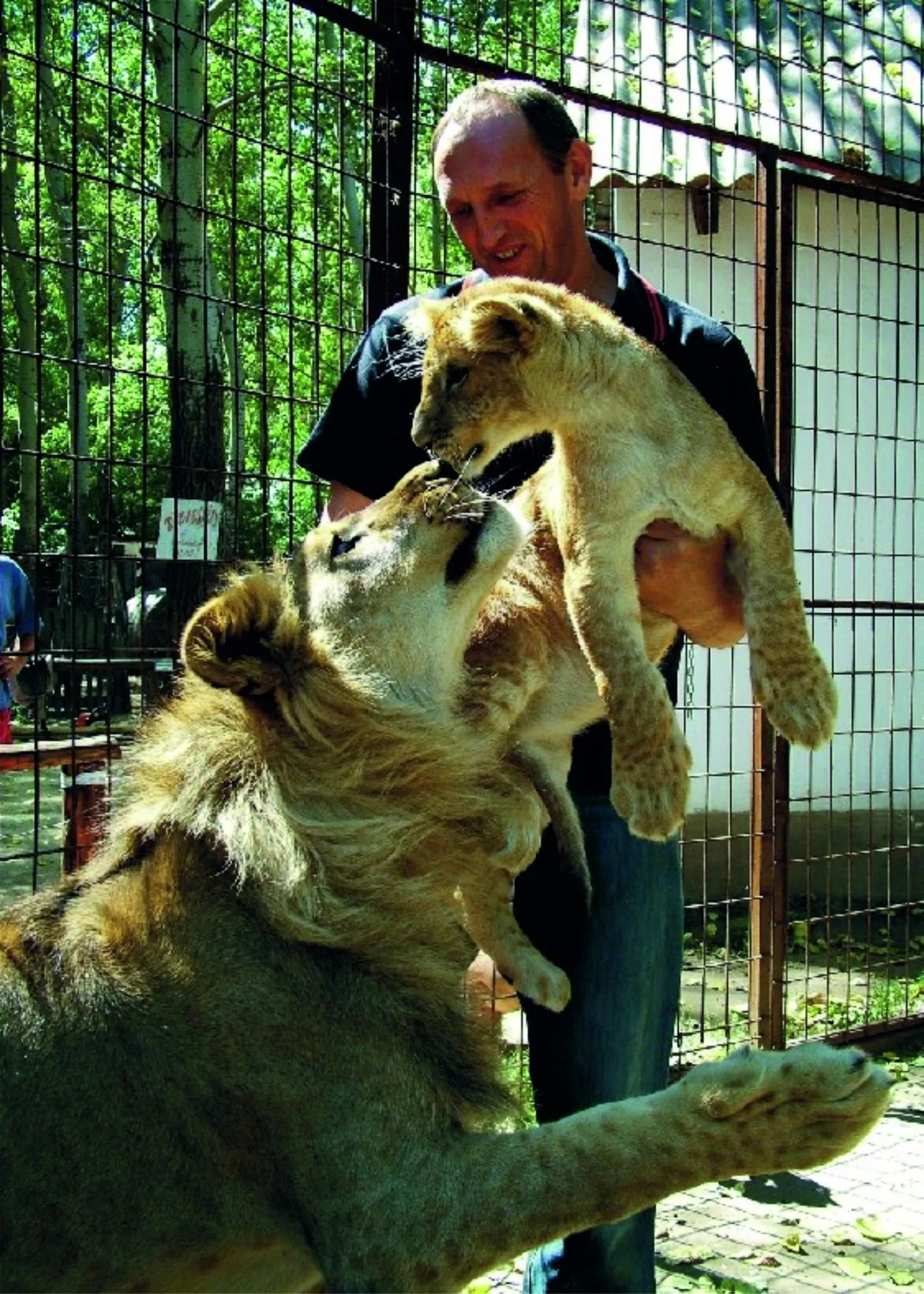 Tóth Tibor, a MagánZOO alapítója az állatkert lakóival Felsőlajoson